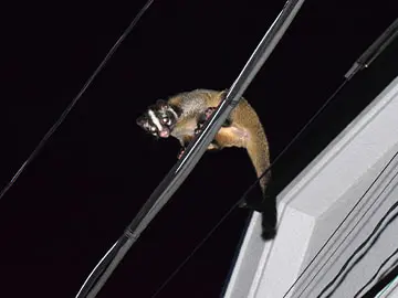 間違った対処法