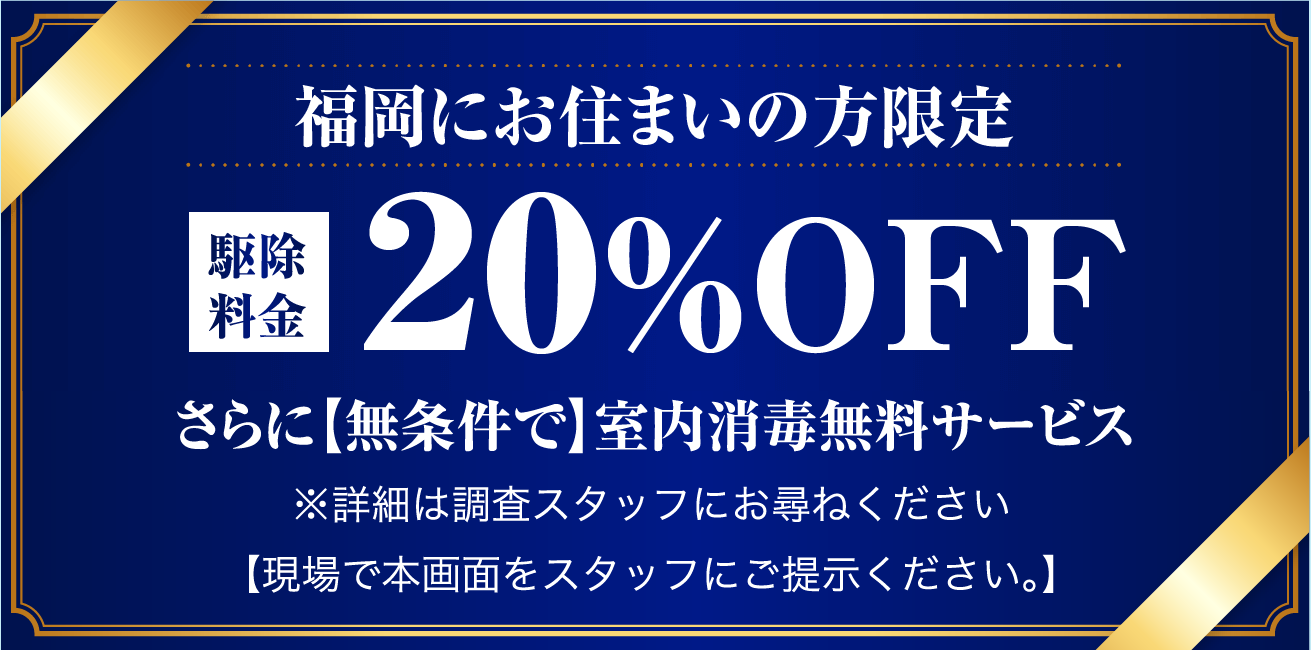 福岡にお住まいの方限定。20%off
