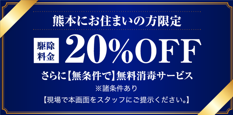 kumamotoにお住まいの方限定。20%off