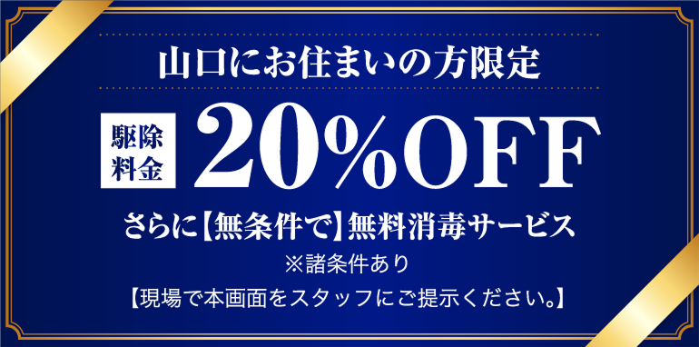 yamaguchiにお住まいの方限定。20%off