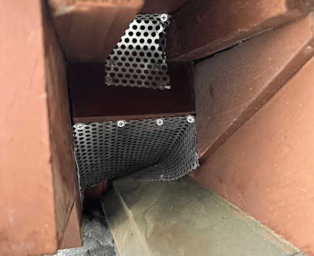 アライグマ駆除作業の現場写真