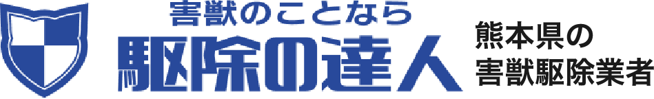 駆除のことなら駆除の達人