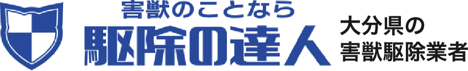 駆除のことなら駆除の達人