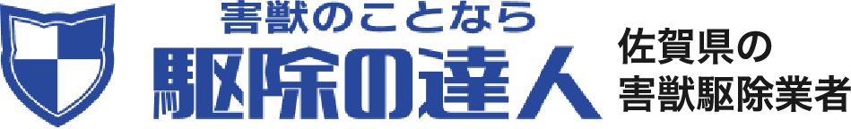駆除のことなら駆除の達人
