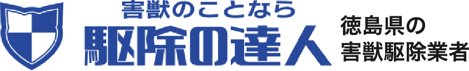 駆除のことなら駆除の達人