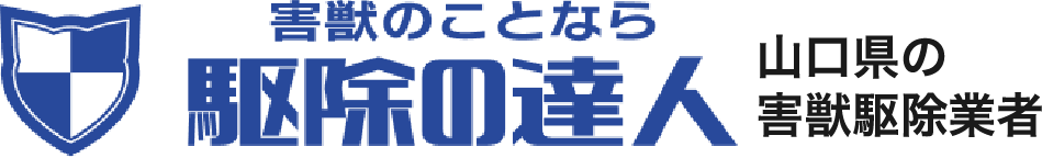 駆除のことなら駆除の達人