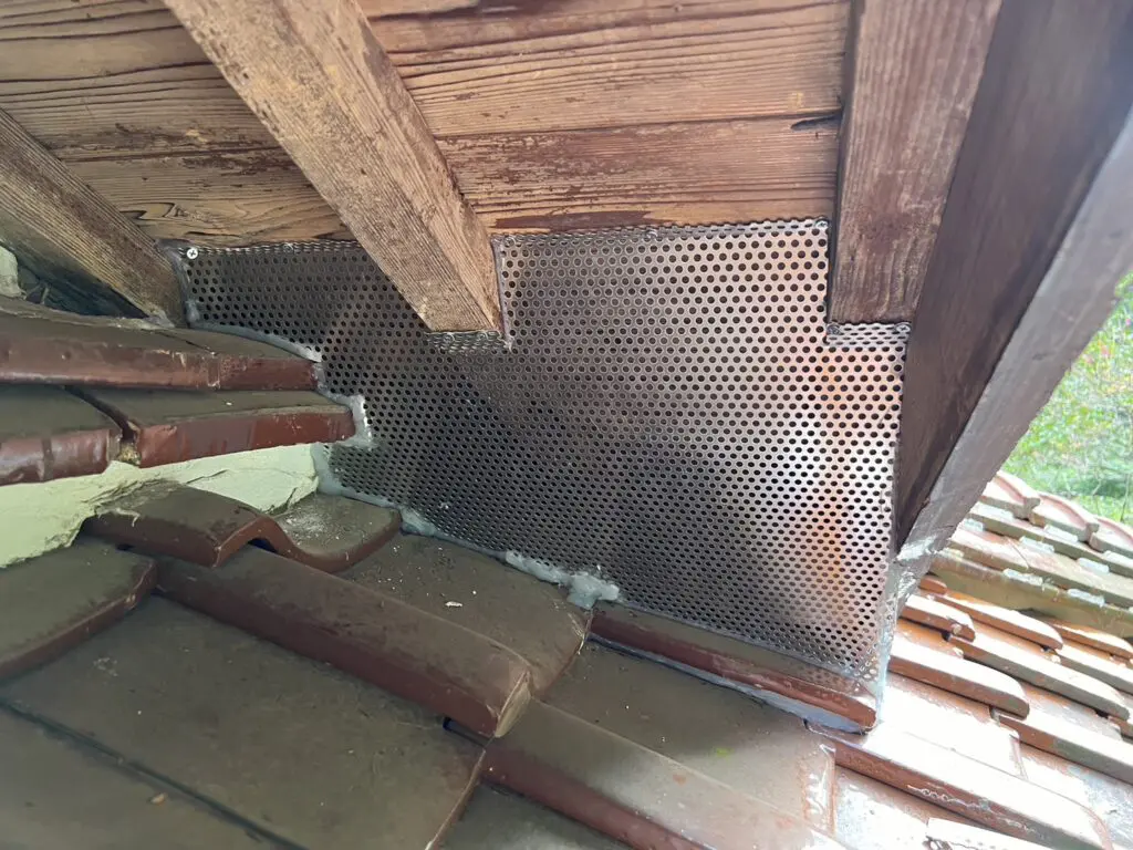 ネズミ駆除作業の現場写真