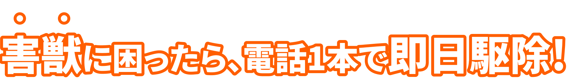 害獣に困ったら、ご連絡1つで即日駆除！