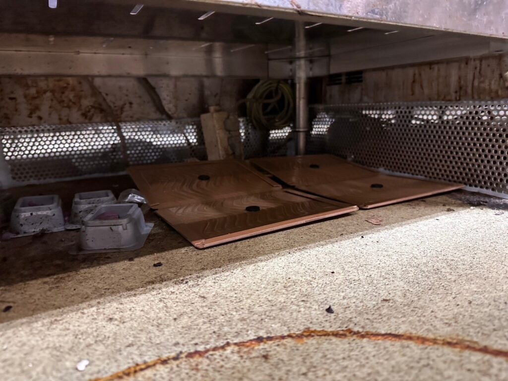 ネズミ駆除施工