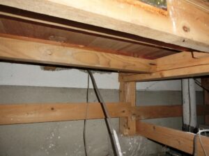 ネズミがいるか確かめる方法は？見つけた後の対処法も紹介