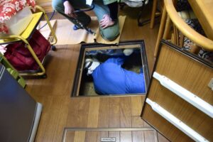 シロアリ対策は何年ごと？目安・理由・業者の選び方などを解説