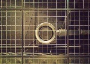 イタチに超音波は効く？超音波装置の種類・選び方・効果を出す使い方を解説